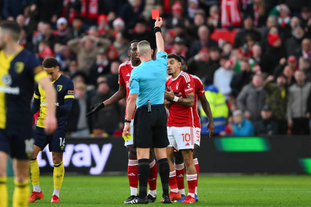 从这些案例 从这些案例