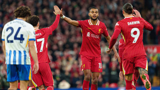 之称的约翰 之称的约翰